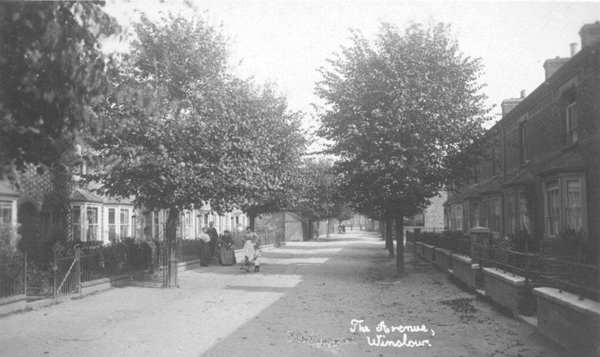 Avenue Road with trees in leaf